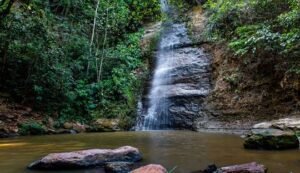 Refrigerator Waterfall