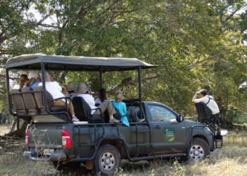 Safari in the Pantanal