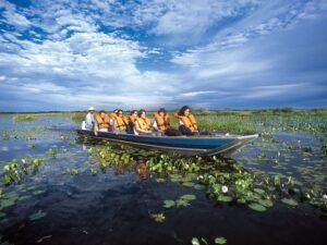 Boat trip in the Pantanal