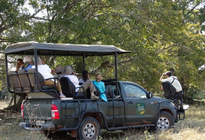 Safari in the Pantanal