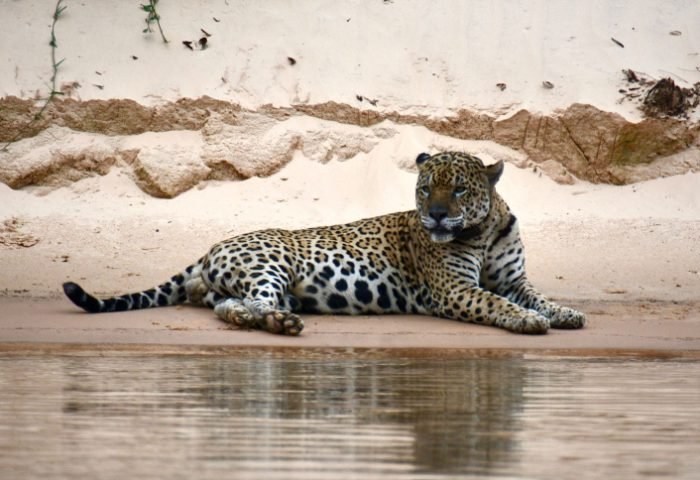 Passeio de barco no Pantanal